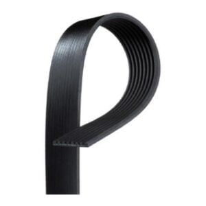 Banda O Correa Poly Rib K060425